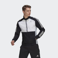 Олимпийка adidas Performance