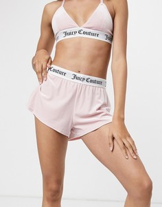 Розовые бархатные шорты с логотипом на эластичном поясе от комплекта Juicy Couture-Розовый цвет