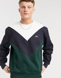 Свитшот с шевронными вставками темно-синего, зеленого и белого цвета Lacoste-Темно-синий