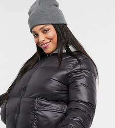 Oversized-пуховик Threadbare Curve Lacy-Черный цвет