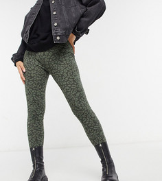 Зеленые леггинсы со звериным принтом Vero Moda Petite-Многоцветный