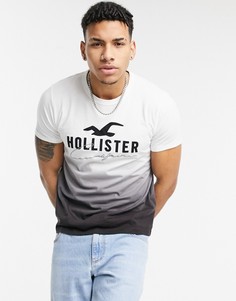 Черная футболка с эффектом деграде и логотипом Hollister-Черный цвет
