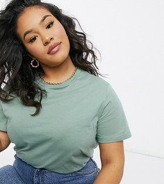 Сине-зеленая футболка из органического хлопка с круглым вырезом ASOS DESIGN Curve-Зеленый цвет