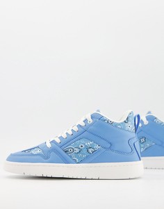 Голубые высокие кроссовки ASOS DESIGN Dante-Голубой