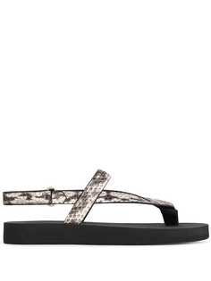 Giuseppe Zanotti шлепанцы Hydra