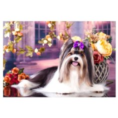 Рыжий кот Картина по номерам Красивая собачка 40х50 см (X-4701)