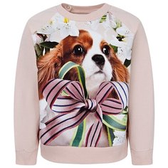 Свитшот Molo размер 74, розовый