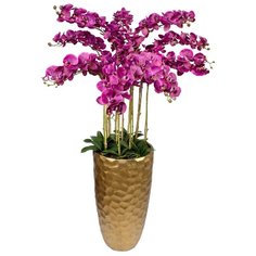 Gerard de ros Орхидея 11 веток в большом высоком керамическом кашпо Конус (17-835/180/1046) застаренное золото/темно-фиолетовый