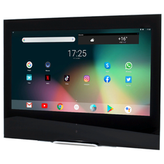 Телевизор AVEL AVS245K 23.8" черный