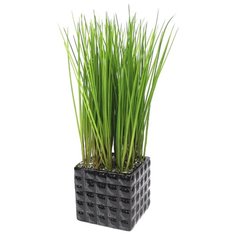 Gerard de ros Трава искусственная в керамическом кашпо Квадрат 45 см (16-495) желто-зеленый/черный