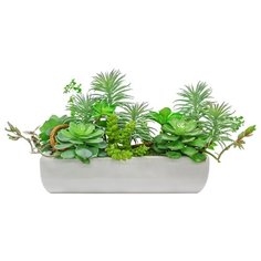 Gerard de ros Суккуленты в керамическом кашпо, 50 см (21-587/120) светло-зеленый