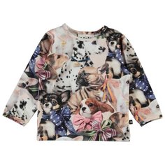 Лонгслив Molo размер 92, 6273 Puppy love