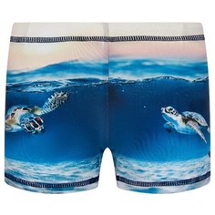 Плавки Molo размер 92-98, Sea Turtle Sunset