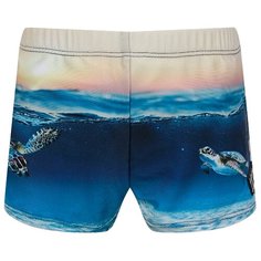 Плавки Molo размер 92-98, Sea Turtle Sunset