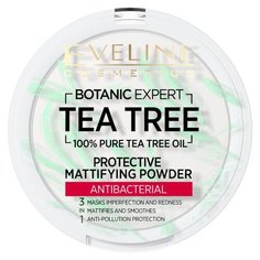 Eveline Cosmetics Пудра компактная Botanic Expert матирующая, антибактериальная 3 в 1 001 Transparent