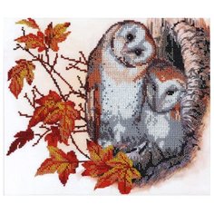 Hobby & Pro Набор для вышивания бисером Совушки 30 х 25 см (БН-3075)