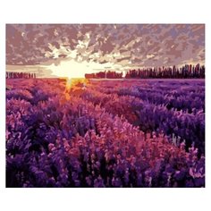 Цветной Картина по номерам "Вечер в провансе" 40х50 см (GX6812)