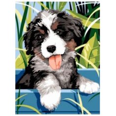 Цветной Картина по номерам "Озорной щенок" 30х40 см (EX5255)