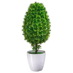 ENGARD Мирт в кашпо B19 белый/зеленый