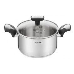 Кастрюля Tefal Emotion 3 л, серебристый