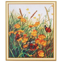 Hobby & Pro Набор для вышивания бисером Бабочки на полевых цветах 25 х 31 см (БН-3107)
