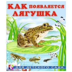 Гурина И. "Как появляется лягушка" Flamingo