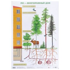Плакат Мозаика-Синтез Лес - многоэтажный дом