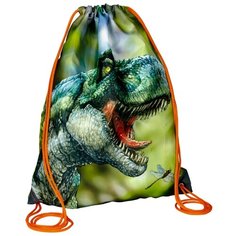 Spiegelburg Мешок для обуви T-Rex (14538) зеленый