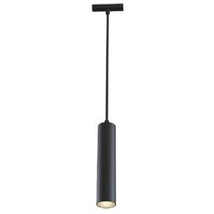 Трековый светильник-спот MAYTONI Track lamps TR016-2-12W3K-B