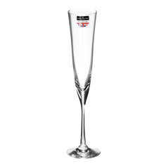 Бокал для шампанского Dartington crystal Celebration 2х150 мл
