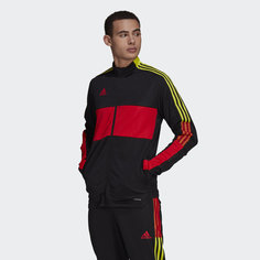Олимпийка Tiro adidas Performance