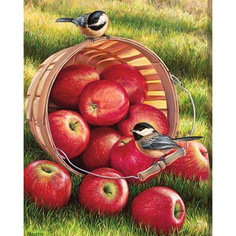 Картина по номерам на холсте 40*50 см Colibri "Ведро яблок" (VA-0310)