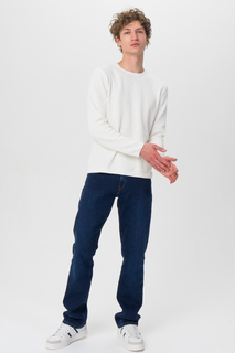 Джинсы мужские F5 205020_09638 синие 34/34