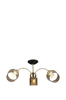 Потолочная люстра БАРОЛО WEDO LIGHT