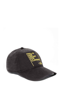 Бейсболка WALLS BALL CAP THE NORTH FACE
