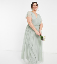 Шалфейно-зеленое платье макси из тюля с короткими рукавами Anaya With Love Plus Bridesmaid-Зеленый цвет