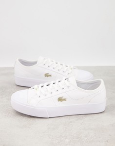Белые кроссовки на платформе с золотистой нашивкой Lacoste Ziane Grand-Белый