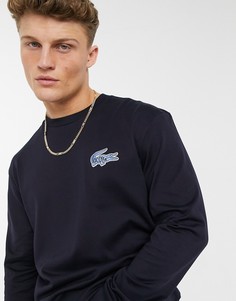 Темно-синий свитшот с маленьким логотипом-крокодилом Lacoste