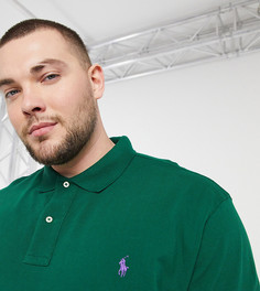 Зеленая футболка-поло из пике с логотипом Polo Ralph Lauren Big & Tall-Зеленый цвет