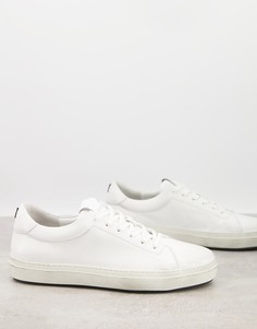 Белые низкие кроссовки AllSaints Hawley-Белый