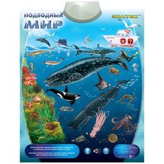 Интерактивная игрушка Знаток