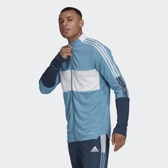 Олимпийка Tiro adidas Performance