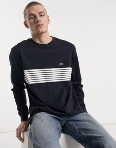 Темно-синий свитшот с полосатой вставкой Lacoste