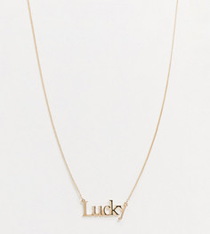 Золотистое ожерелье с подвеской в виде слова "lucky" ASOS DESIGN Curve-Золотистый