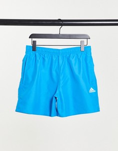Синие однотонные шорты для плавания adidas CLX-Голубой