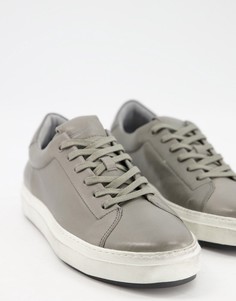 Серые низкие кроссовки AllSaints Hawley-Серый