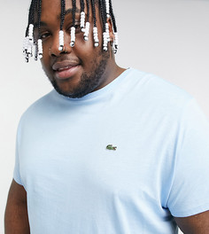 Голубая футболка из хлопка пима с логотипом Lacoste-Голубой