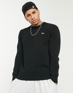 Черный хлопковый джемпер с круглым вырезом Lacoste-Черный цвет
