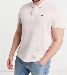 Светло-розовое узкое поло из пике Lacoste-Розовый цвет