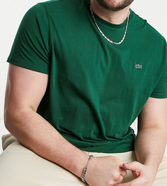 Темно-зеленая футболка из хлопка пима с логотипом Lacoste-Зеленый цвет